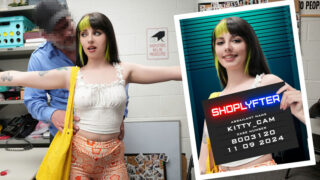 Shoplyfter - Case No. 8003120: The Artist In Distress Full HD Video Free