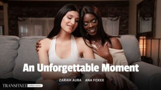 Transfixed - An Unforgettable Moment Full HD Video Free