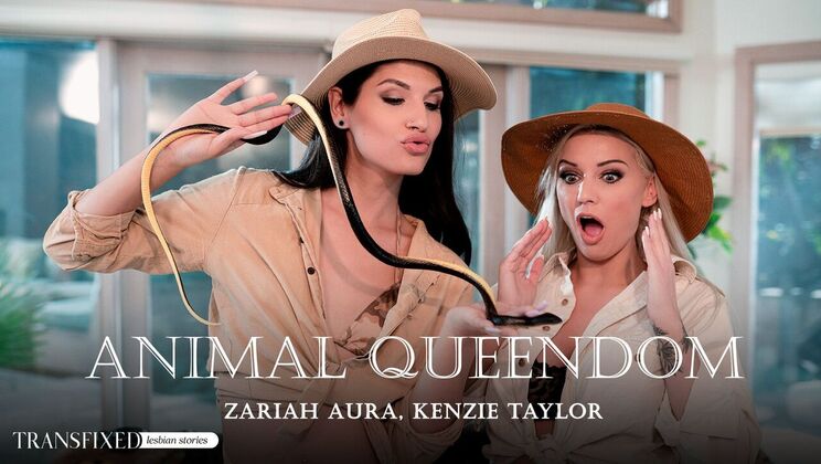 Transfixed – Animal Queendom