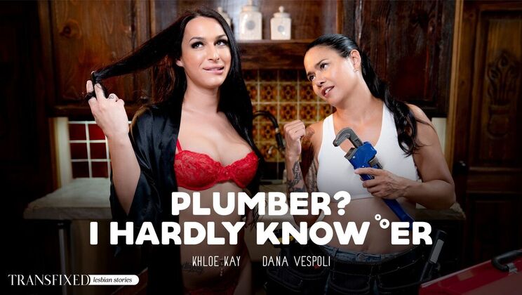 Transfixed – Plumber? I Hardly Know ‘Er