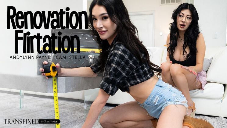 Transfixed – Renovation Flirtation