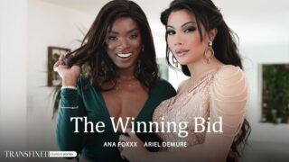 Transfixed - The Winning Bid Full HD Video Free