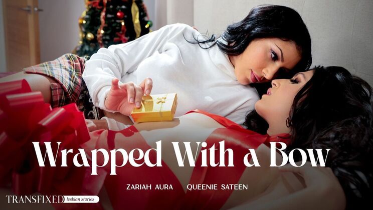 Transfixed – Wrapped With a Bow