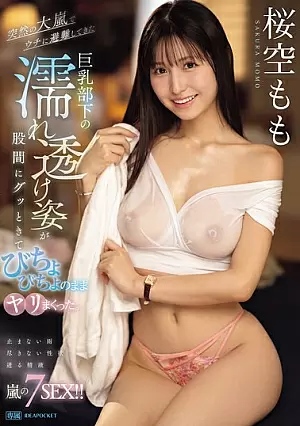 IPZZ-295-SUB