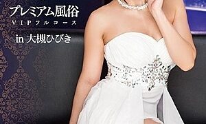 Watch Premium Customs VIP Full Course In Otsuki Sound
