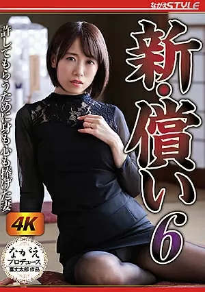 NSFS-049-SUB
