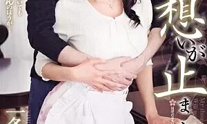 Watch My Love For My Mother Will Never Stop Kimika Ichijo